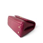 Small / Old Mini Burgundy Python Coco Handle Aged Gold Hardware - Image 4