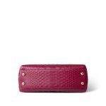 Small / Old Mini Burgundy Python Coco Handle Aged Gold Hardware - Image 8