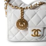 White Shiny Crumpled Calfskin Hobo Bag Small Aged Gold Hardware - Image 2
