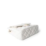 White Shiny Crumpled Calfskin Hobo Bag Small Aged Gold Hardware - Image 3