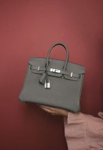 Birkin 25 Gris Meyer Togo Palladium Plated W Stamp - Image 10