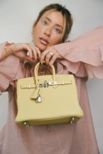 Birkin 25 Jaune Poussin Togo Palladium Plated W Stamp - Image 6