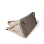 Birkin 30 Craie Taurillon Clemence Palladium Plated Y Stamp - Image 9