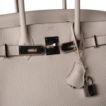 Birkin 30 Craie Taurillon Clemence Palladium Plated Y Stamp - Image 14