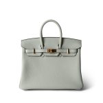 Birkin 25 Gris Neve Togo Leather Gold Hardware B Stamp - Image 8