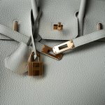 Birkin 25 Gris Neve Togo Leather Gold Hardware B Stamp - Image 27