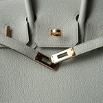 Birkin 25 Gris Neve Togo Leather Gold Hardware B Stamp - Image 21