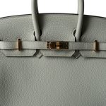Birkin 25 Gris Neve Togo Leather Gold Hardware B Stamp - Image 18