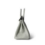 Birkin 25 Gris Neve Togo Leather Gold Hardware B Stamp - Image 7