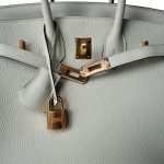 Birkin 25 Gris Neve Togo Leather Gold Hardware B Stamp - Image 24