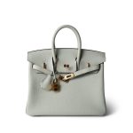 Birkin 25 Gris Neve Togo Leather Gold Hardware B Stamp - Image 20