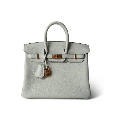 Birkin 25 Gris Neve Togo Leather Gold Hardware B Stamp