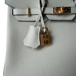 Birkin 25 Gris Neve Togo Leather Gold Hardware B Stamp - Image 23