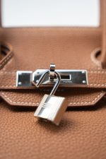 Birkin 30 Gold Veau Togo Leather Palladium Plated Hardware R - Image 10