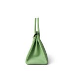 Birkin 30 Vert Criquet Veau Epsom Gold Plated Hardware - Image 9
