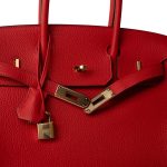 Birkin 30 Rouge de Coeur Togo Gold Plated D Stamp - Image 13