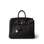 Birkin 25 Black Togo Rose Gold Plated Y Stamp - Image 9