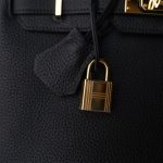 Birkin 25 Noir Black Veau Togo Leather Gold Hardware - Image 4