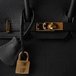 Birkin 25 Noir Black Veau Togo Leather Gold Hardware - Image 6