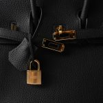 Birkin 25 Noir Black Veau Togo Leather Gold Hardware - Image 7