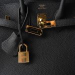 Birkin 25 Noir Black Veau Togo Leather Gold Hardware - Image 9