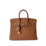 Birkin 25 Gold Togo Gold Plated D Stamp