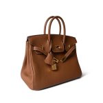 Birkin 25 Gold Togo Gold Plated D Stamp - Image 9