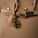 Birkin 25 Chai Togo Gold Plated U Stamp - Image 12