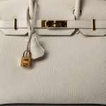 Birkin 30 Beton Veau Togo Leather Gold Plated U Stamp 2022 - Image 19