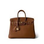 Birkin 25 Gold Togo Gold Plated Y Stamp