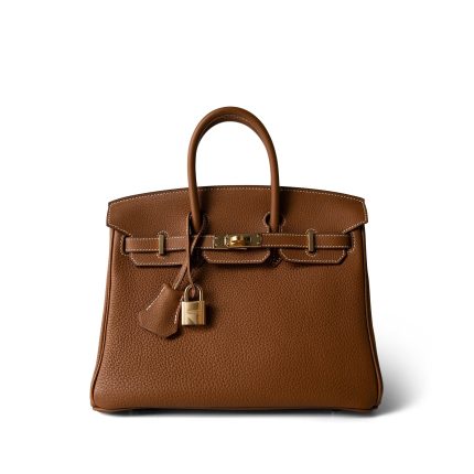 Birkin 25 Gold Togo Gold Plated Y Stamp