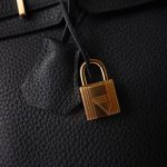 Birkin 25 Vert Cypres Togo Gold Plated Z Stamp - Image 7