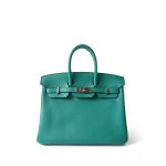 Birkin 25 Vert Verone / Rose Lipstick Taurillon Novillo Palladium Plated Y Stamp - Image 2