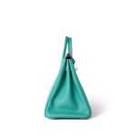 Birkin 25 Vert Verone / Rose Lipstick Taurillon Novillo Palladium Plated Y Stamp - Image 5