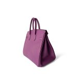 Birkin 25 Cyclamen Veau Epsom Palladium Plated L Square Stamp - Image 5