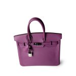 Birkin 25 Cyclamen Veau Epsom Palladium Plated L Square Stamp - Image 14