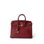 Birkin 25 Rouge Grenat Togo Gold Plated X Stamp - Image 9
