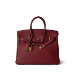 Birkin 25 Rouge Grenat Togo Gold Plated X Stamp - Image 18