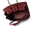 Birkin 25 Rouge Grenat Togo Gold Plated X Stamp - Image 19