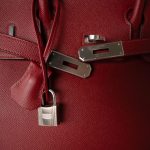 Birkin 30 Rouge Grenat Epsom Palladium Plated D Stamp - Image 9