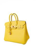 Birkin 25 Jaune de Naples Veau Taurillon Novillo Leather Gold Plated Hardware D Stamp - Image 8