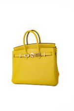 Birkin 25 Jaune de Naples Veau Taurillon Novillo Leather Gold Plated Hardware D Stamp - Image 15