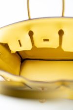 Birkin 25 Jaune de Naples Veau Taurillon Novillo Leather Gold Plated Hardware D Stamp - Image 16