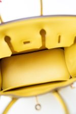 Birkin 25 Jaune de Naples Veau Taurillon Novillo Leather Gold Plated Hardware D Stamp - Image 18