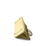 Birkin 25 Jaune Poussin Togo Palladium Plated Z Stamp - Image 6