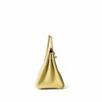 Birkin 25 Jaune Poussin Togo Palladium Plated Z Stamp - Image 3