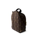 Palm Springs Mini Monogram Canvas Backpack - Image 6