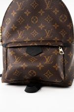 Palm Springs PM Monogram Back Pack - Image 2