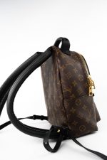 Palm Springs PM Monogram Back Pack - Image 4