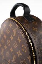 Palm Springs PM Monogram Back Pack - Image 6